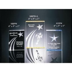STPW 3-D Acrylic Star Award
